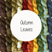 Mini-madness (65% Superwash Wool, 20% Alpaca, 15% Nylon)