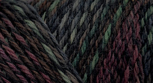 75% wool/ 25% nylon Wildfoote handpainted skein