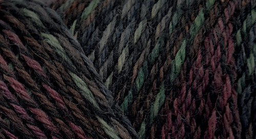 75% wool/ 25% nylon Wildfoote handpainted skein