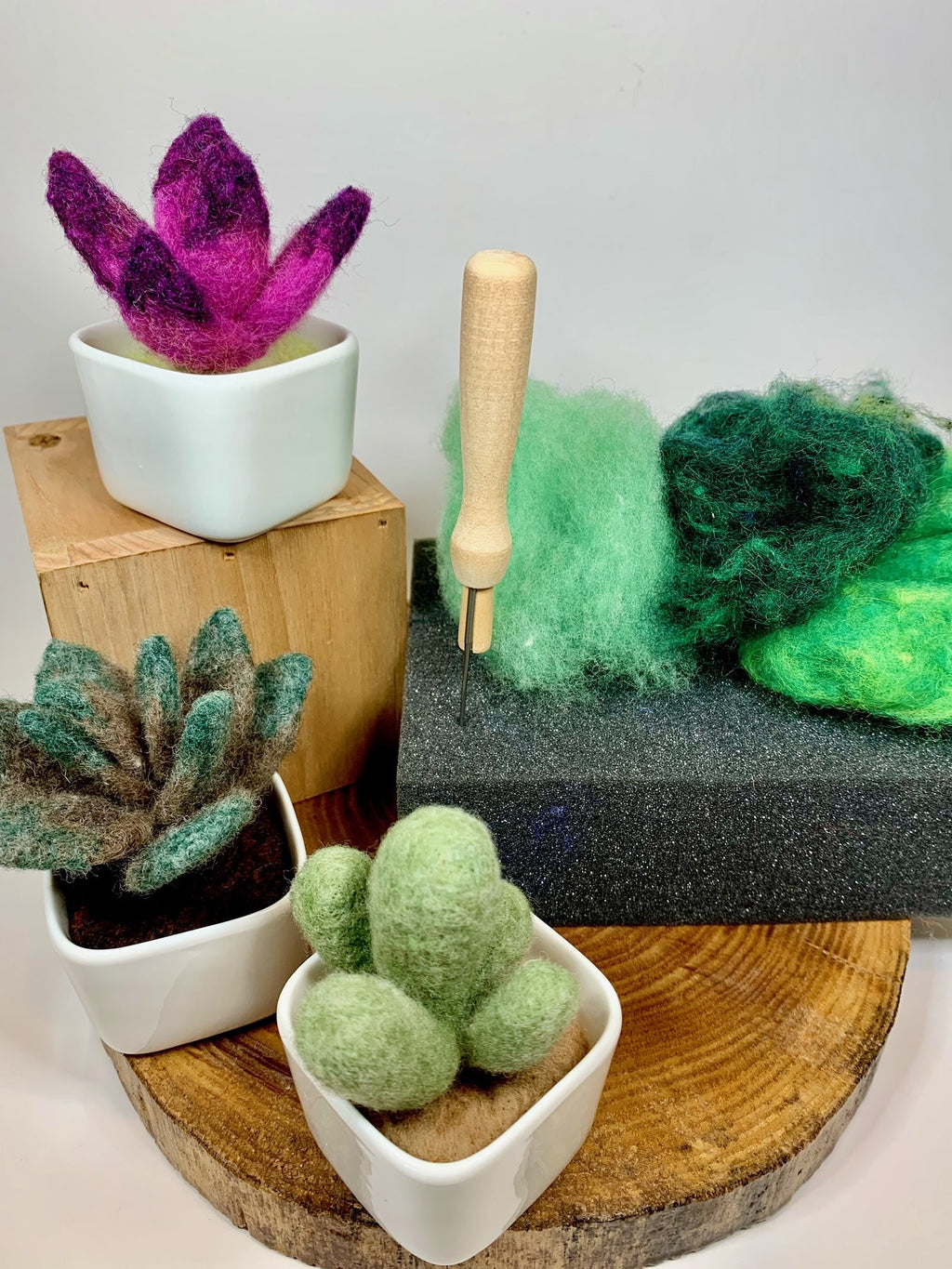 Felted Succulent Workshop - April 2nd