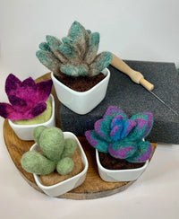 Felted Succulent Workshop