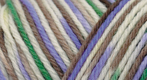 75% wool/ 25% nylon Wildfoote handpainted skein