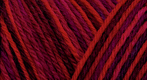 75% wool/ 25% nylon Wildfoote handpainted skein