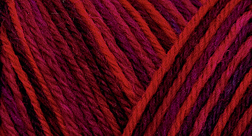 75% wool/ 25% nylon Wildfoote handpainted skein