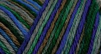 75% wool/ 25% nylon Wildfoote handpainted skein