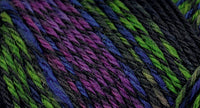 75% wool/ 25% nylon Wildfoote handpainted skein