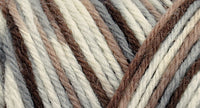 75% wool/ 25% nylon Wildfoote handpainted skein