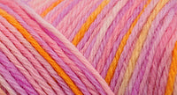 75% wool/ 25% nylon Wildfoote handpainted skein