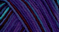 75% wool/ 25% nylon Wildfoote handpainted skein