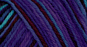 75% wool/ 25% nylon Wildfoote handpainted skein