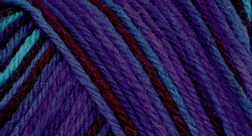 75% wool/ 25% nylon Wildfoote handpainted skein