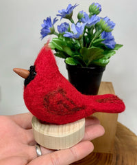 Felted Bird Workshop - May 15