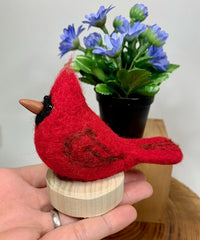 Felted Bird Workshop - May 22